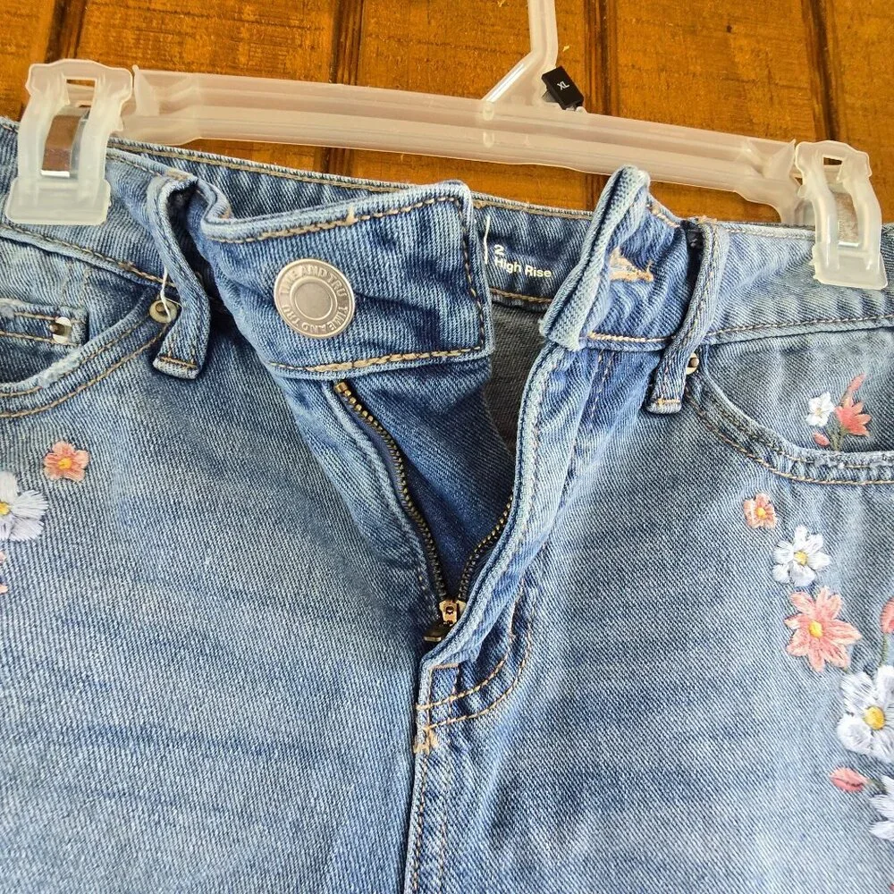 Time‎ And Tru Womens High Rise Embroidered Floral Denim Shorts Size 2